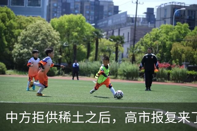 中方拒供稀土之后，高市报复来了，日本：对中国不锈钢板加税五年