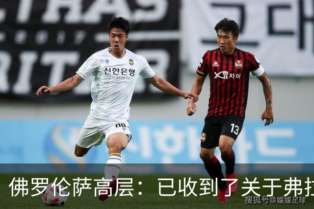 佛罗伦萨高层：已收到了关于弗拉霍维奇的报价
