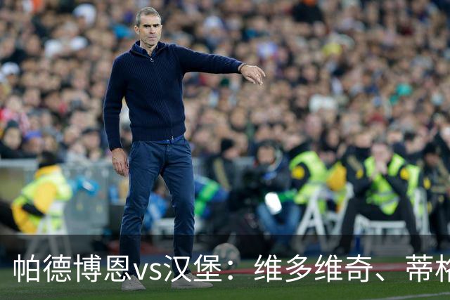 帕德博恩vs汉堡：维多维奇、蒂格斯首发，法比奥-维埃拉、波尔森出战