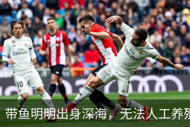 带鱼明明出身深海，无法人工养殖，为什么成了便宜的平民海鲜？