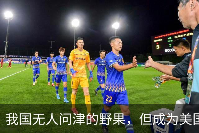 我国无人问津的野果，但成为美国人的心头宝，60元1斤供不应求？