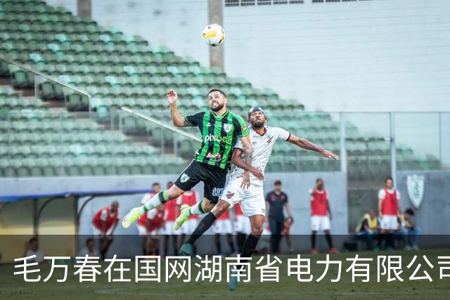 毛万春在国网湖南省电力有限公司调研