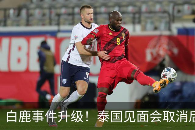 白鹿事件升级！泰国见面会取消后，缅北视频又被扒，黑历史曝光