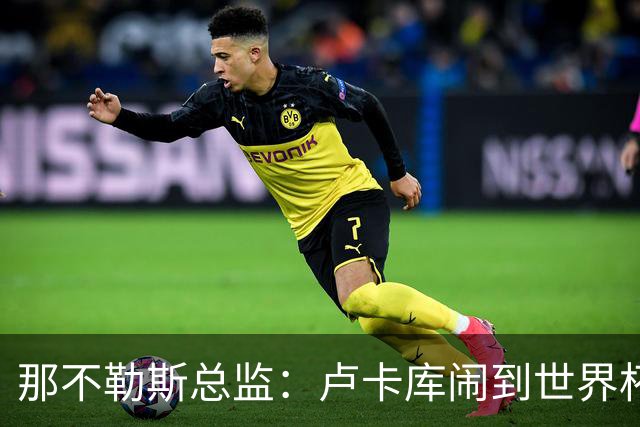 那不勒斯总监：卢卡库闹到世界杯前，能有人接盘算走运