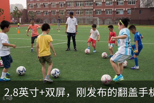 2.8英寸+双屏，刚发布的翻盖手机，竟卖到2600元