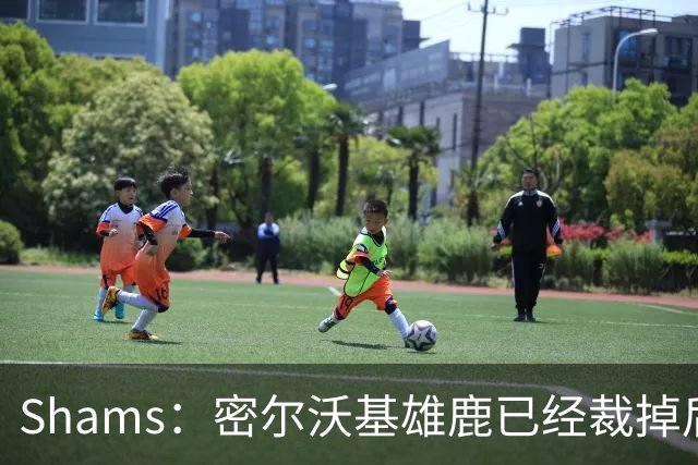 Shams：密尔沃基雄鹿已经裁掉后卫小凯文·波特！